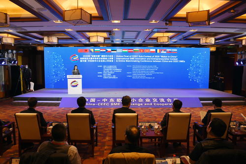 中国 中东欧中小企业线上对洽会举行