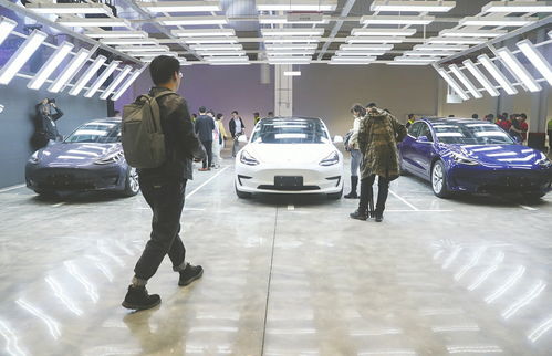 特斯拉3月在华销量过万辆 model 3要涨价了