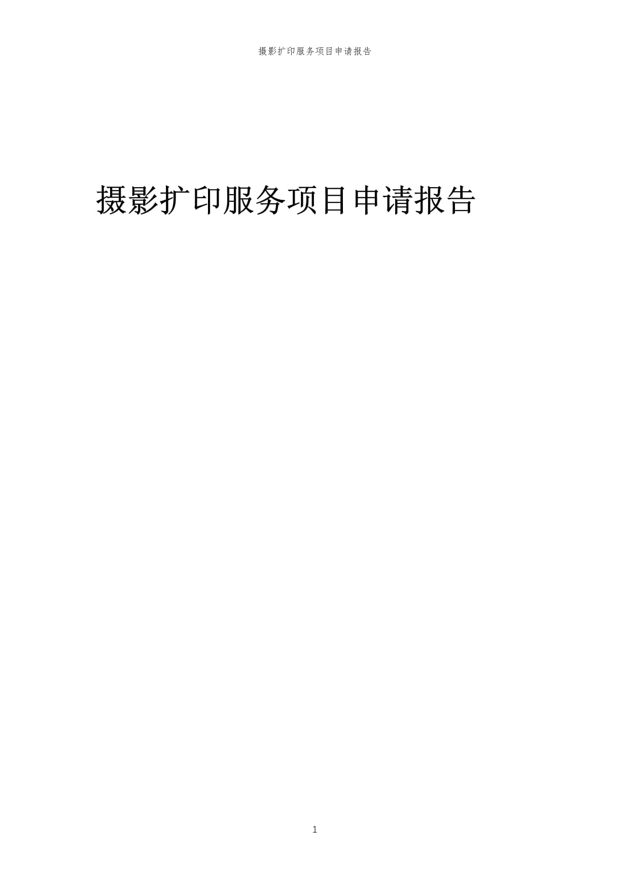 2025年摄影扩印服务项目申请报告