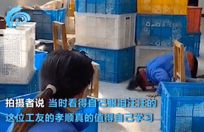 工厂女工对着手机不断磕头,画面另一侧是80岁父亲,拍摄者 看得眼泪汪汪