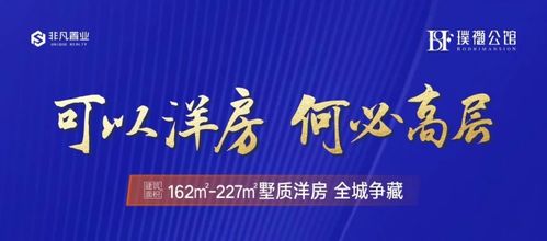非凡造极 以精工细筑,成就濮北洋房家