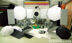 take studio 提供租场服务 , 给摄影人仕租用 场地布置及出租 表演艺术 88db