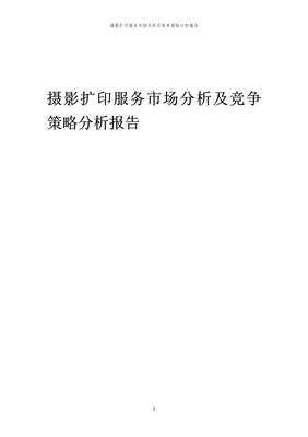 年度摄影扩印服务市场分析及竞争策略分析报告