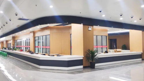 凤台县政务服务中心搬迁新址，智慧政务与人文关怀并重，高清大图带你直击现场